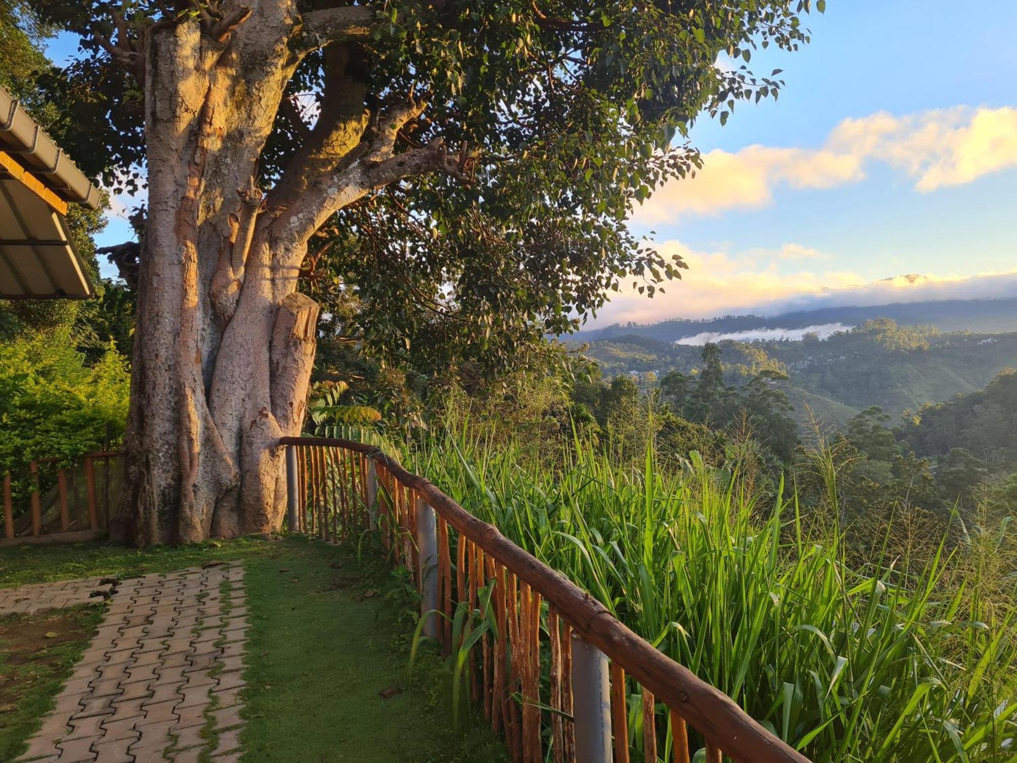Rainbow Sky Cottage Ella Bagian luar foto